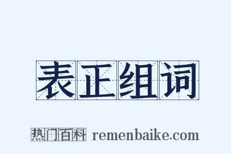 表正组词是什么意思的图片